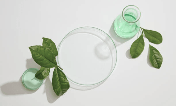 The Ultimate Guide to Eliminating Toxins - Living Silica