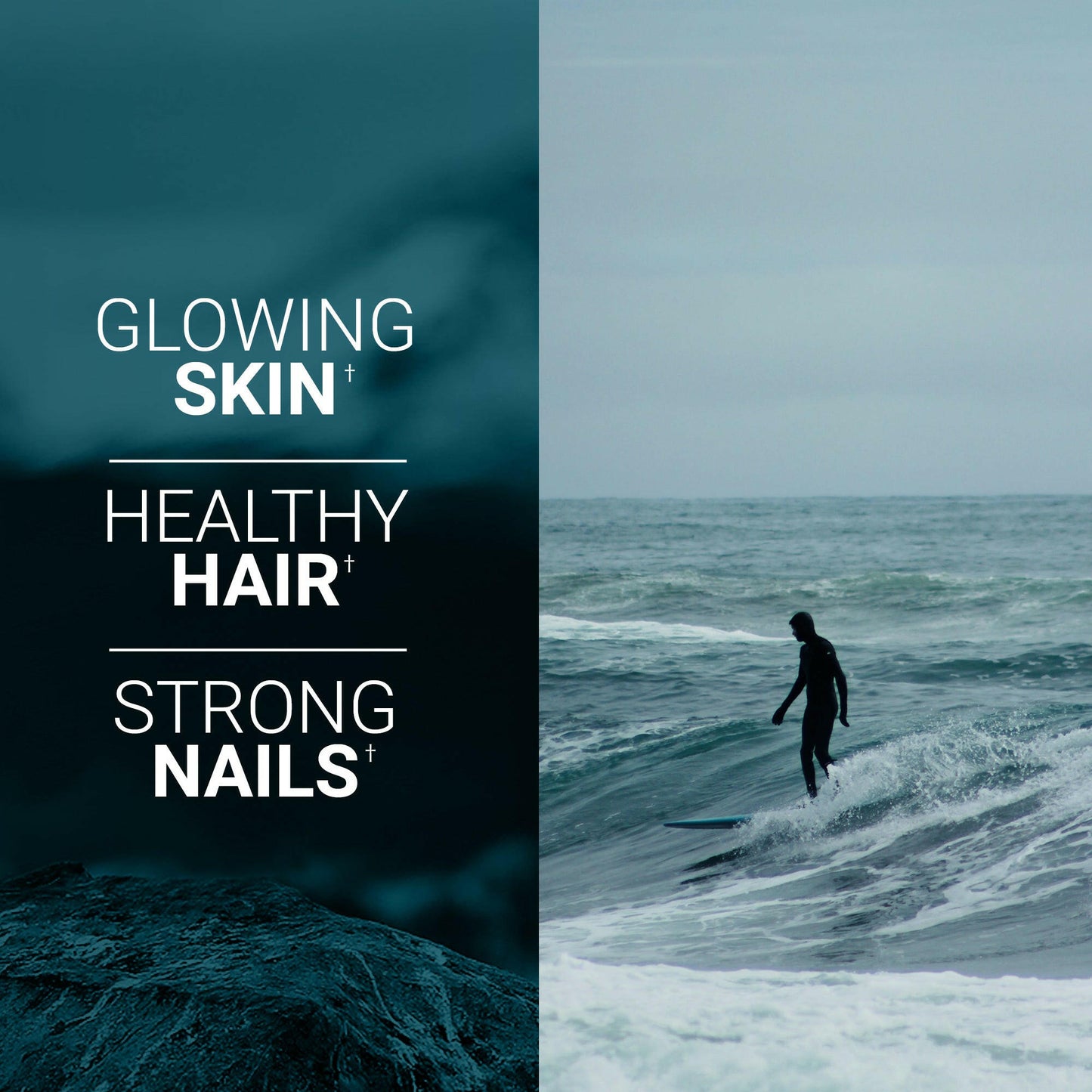 Hydrolyzed Collagen Peptides - Living Silica