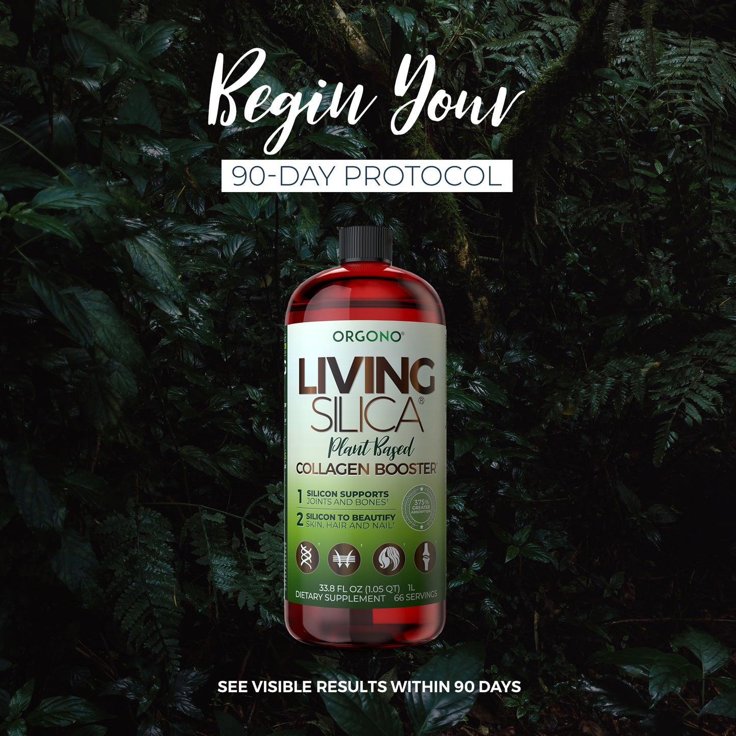 Plant- Based Collagen Booster 1000ml