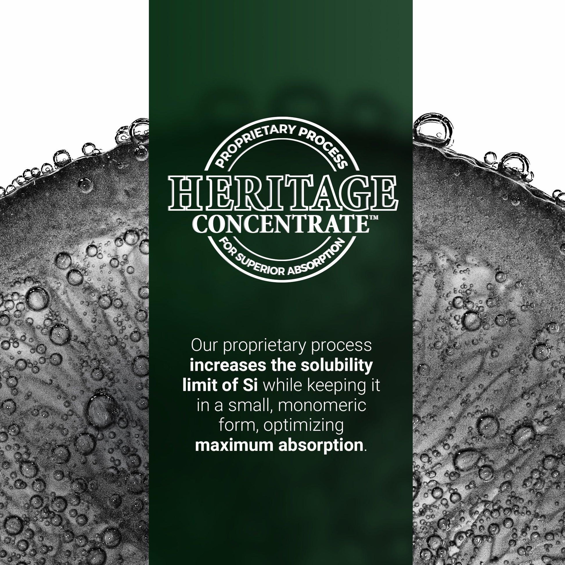 Plant-Based Collagen Booster Powder - Living Silica