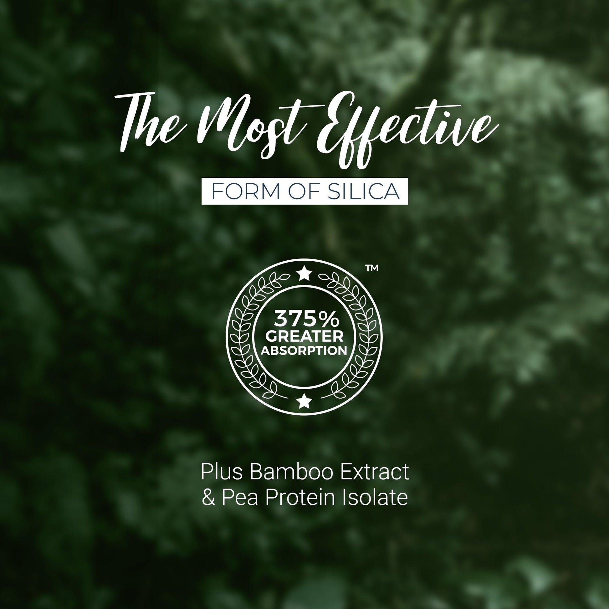 Plant-Based Collagen Booster Powder - Living Silica