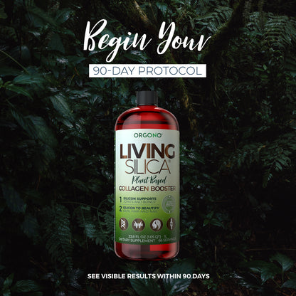 Plant- Based Collagen Booster 1000ml